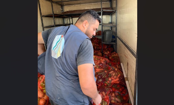 جمعية الدراسات النسوية توزع 900 طرد خضار على الأسر النازحة في خانيونس